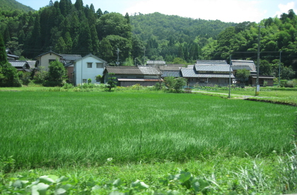 c0145449_16134859.jpg