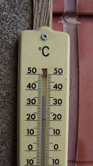 c0182658_01323.jpg