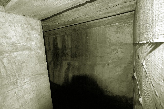 d0019260_2451396.jpg