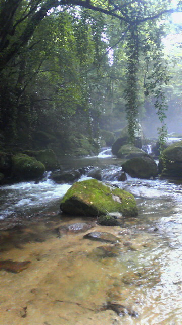 b0134564_2246118.jpg