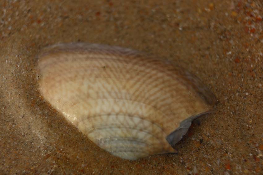 b0149365_121136.jpg