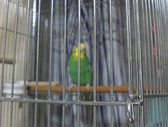 f0196665_011727.jpg