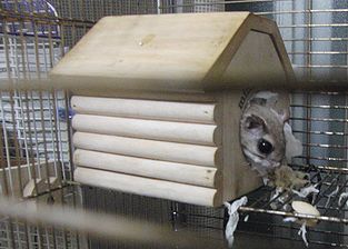 f0196665_0141972.jpg