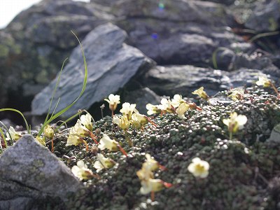 d0025568_1345869.jpg