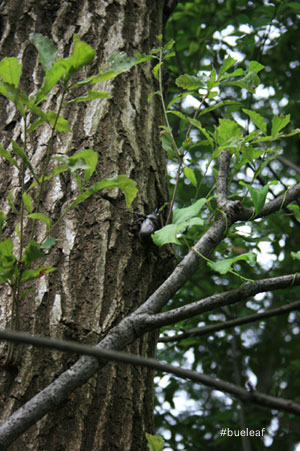 c0027369_14472351.jpg