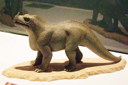 a0121671_2054837.jpg