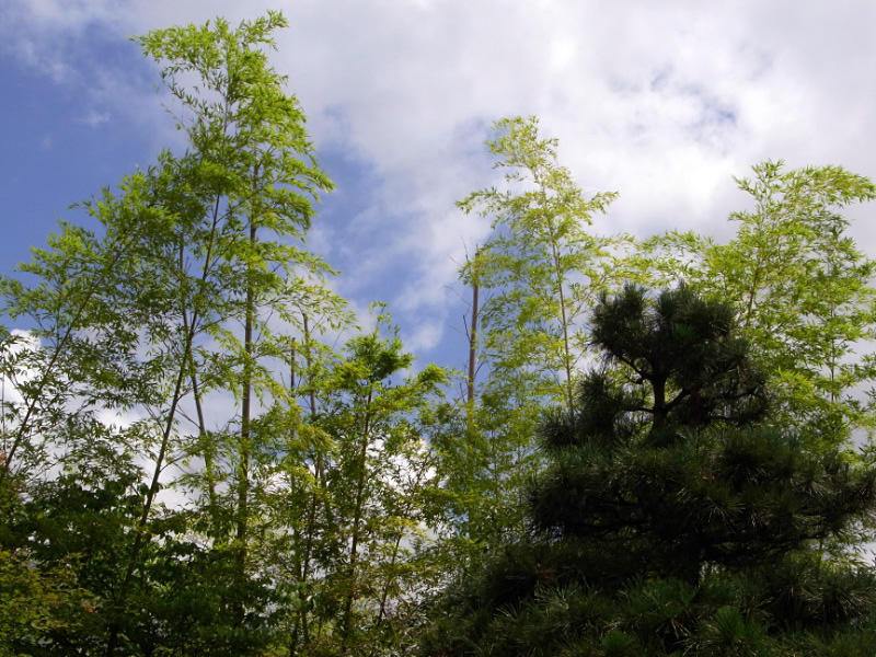 e0100772_2158495.jpg