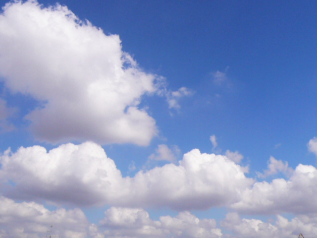 d0147774_12465878.jpg