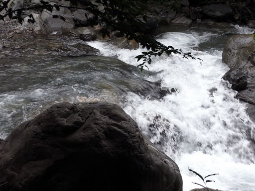 f0054075_1313290.jpg