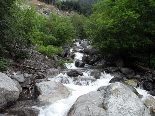 f0054075_1385375.jpg
