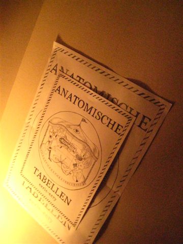 c0144381_4174672.jpg