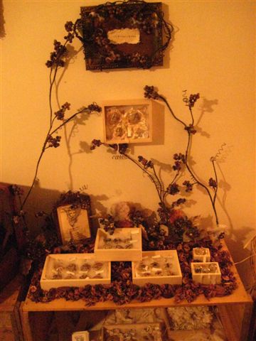 c0144381_481189.jpg