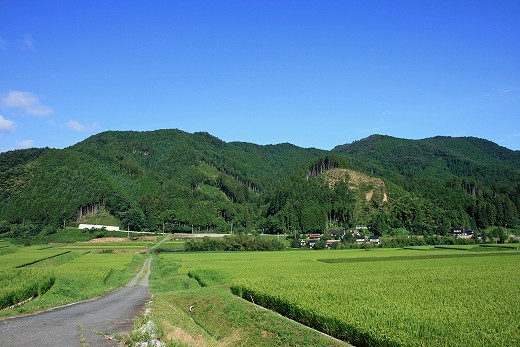 e0190885_20373888.jpg