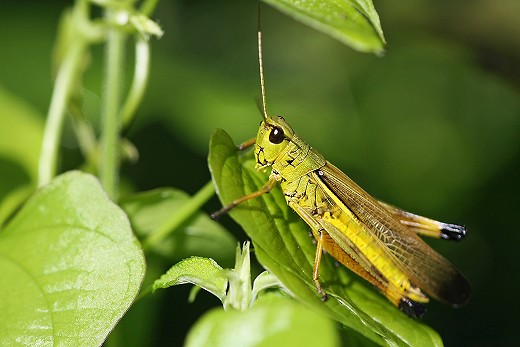 e0190885_2038057.jpg