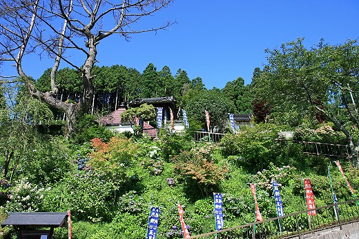 e0190885_20384055.jpg
