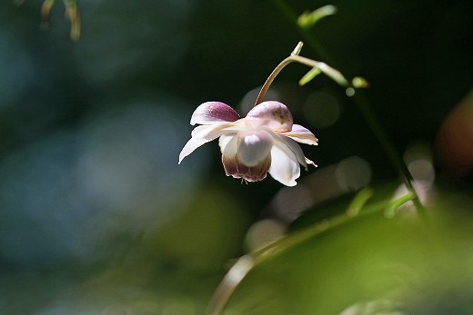 e0190885_2041490.jpg