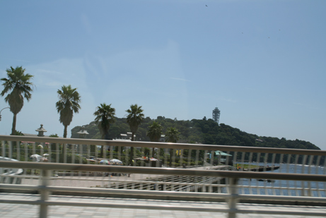 d0044986_7504710.jpg