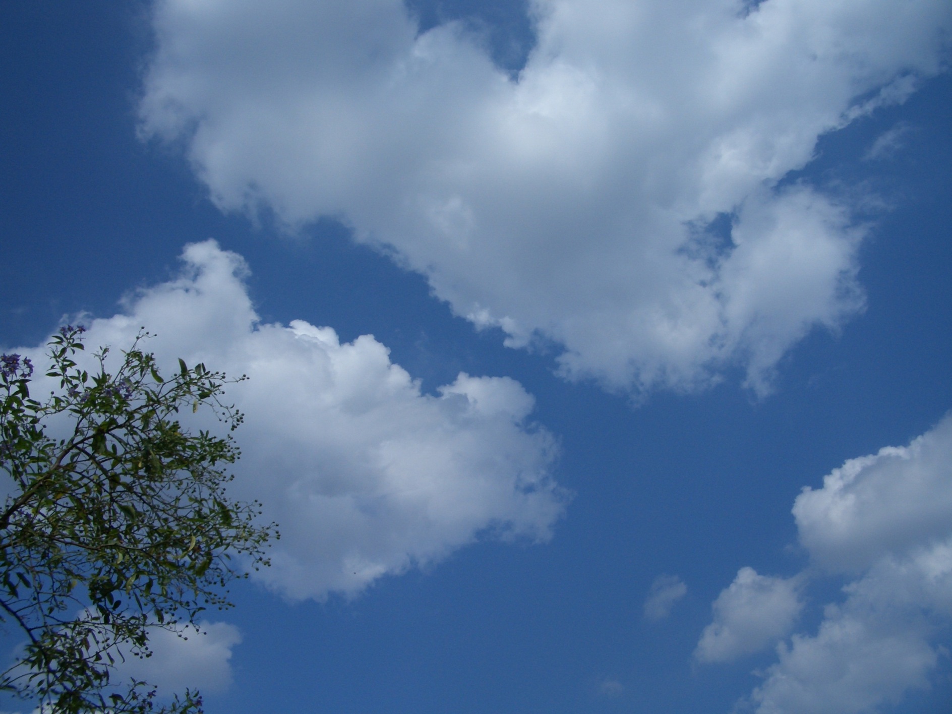 a0137487_122534.jpg