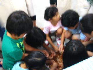 c0002089_1952134.jpg