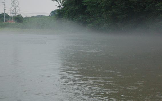 f0094391_7493214.jpg