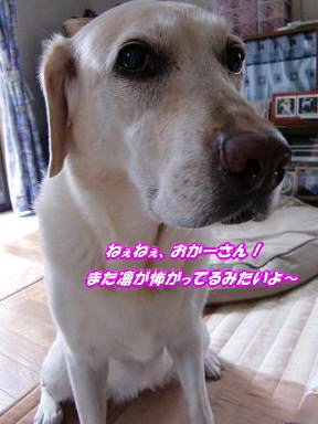 c0028792_2246178.jpg