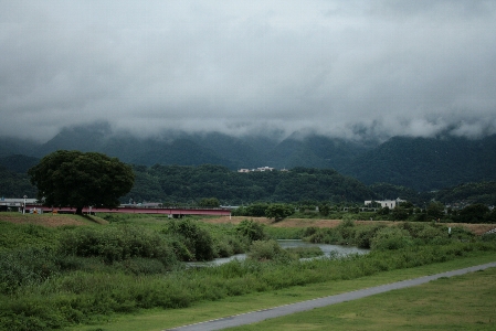 d0133693_2112077.jpg