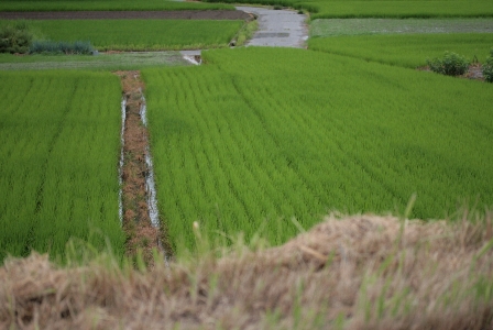 d0133693_2122257.jpg