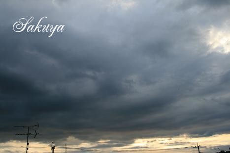 e0122194_1714860.jpg