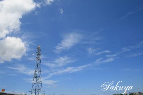 e0122194_1733951.jpg