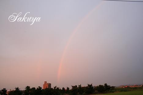 e0122194_179834.jpg