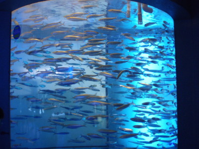 c0086895_14573018.jpg