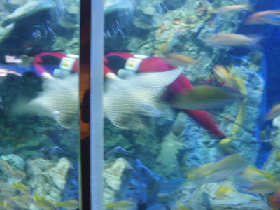 c0086895_14581437.jpg