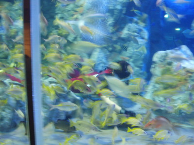 c0086895_1502568.jpg