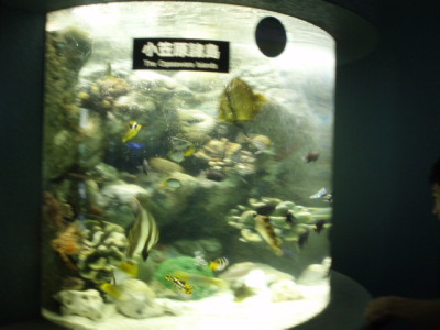 c0086895_1504427.jpg