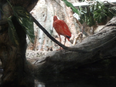 c0086895_15102431.jpg