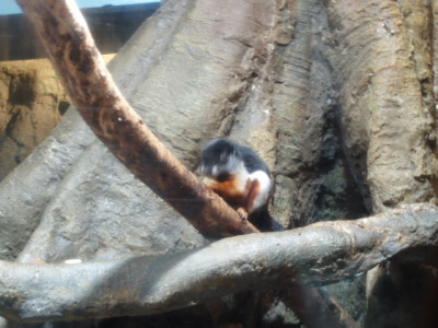 c0086895_15104682.jpg