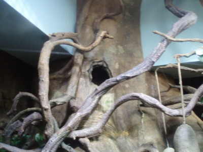 c0086895_15194349.jpg