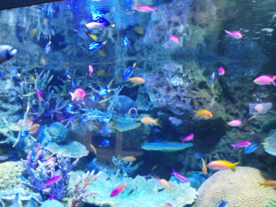 c0086895_1542061.jpg