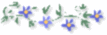 f0201297_0214113.gif