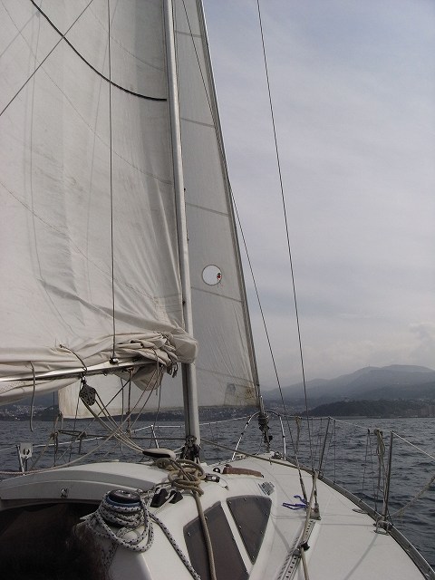 f0157901_20193055.jpg
