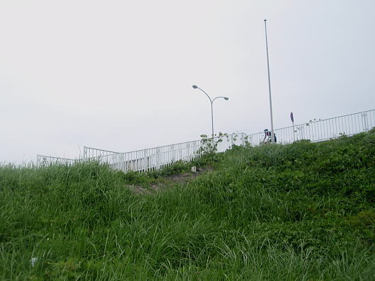 b0055202_194387.jpg
