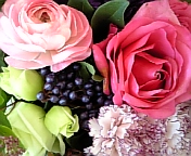 e0175702_16175439.jpg