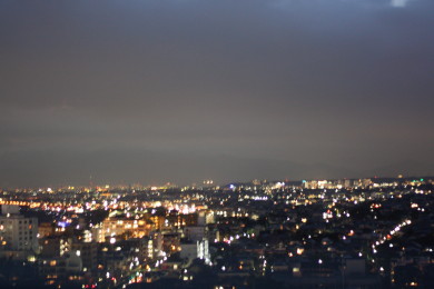 a0007906_910399.jpg
