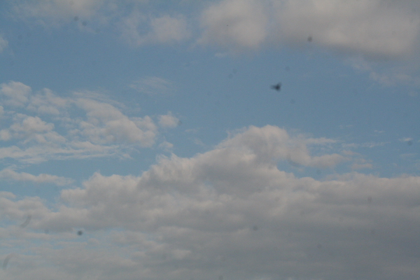 f0186509_23304137.jpg