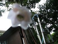 d0013610_1824123.jpg