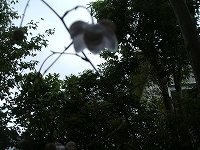 d0013610_18241970.jpg