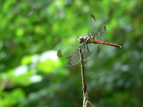 e0002314_19101574.jpg