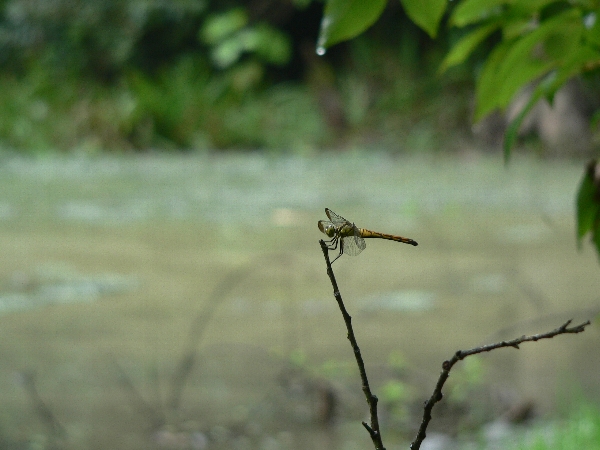 e0002314_19103981.jpg