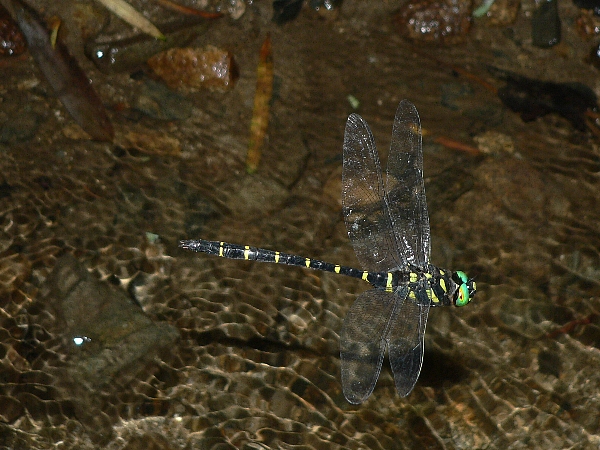 e0002314_1955277.jpg
