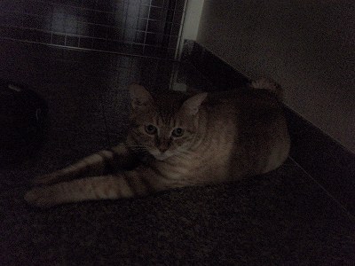 c0145016_204841.jpg